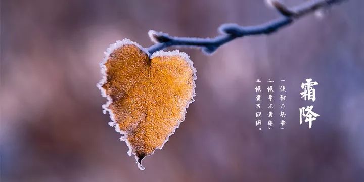 2019霜降节气祝福语简短句子_祝福朋友的霜降句子