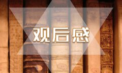 香港电影《扫毒2》观影体会优秀范文5篇