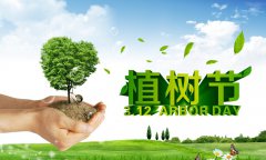 植树节环保主题教育活动方案总结2020【3篇】
